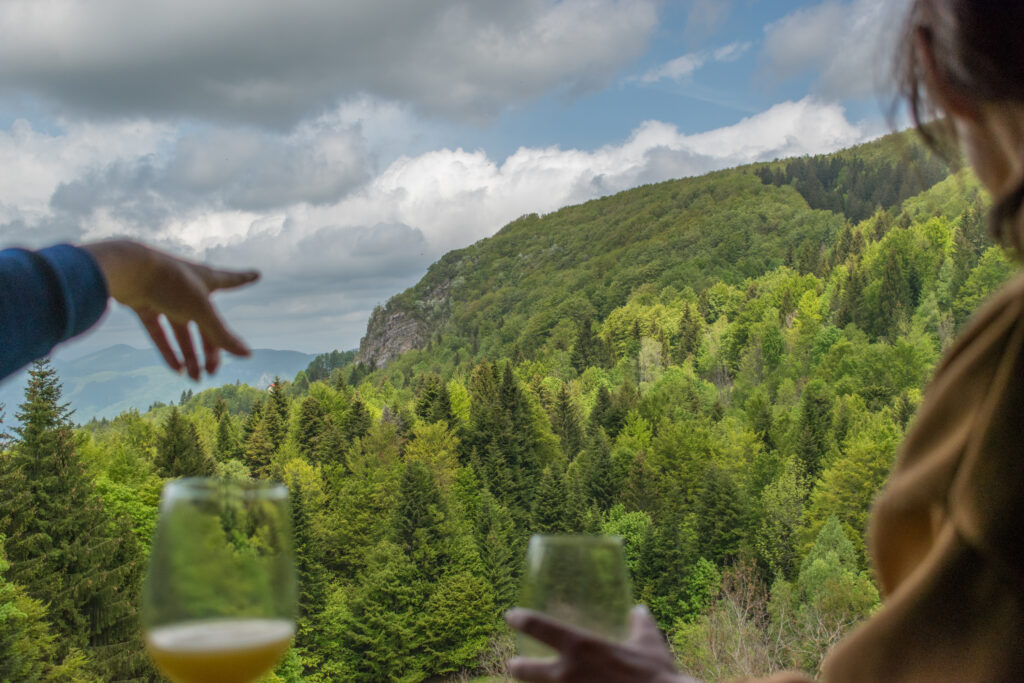 Forest and mountains
